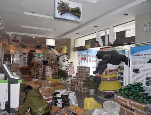 整合規(guī)范物流快遞，打造電商生態(tài)體系下的普通貨物倉儲服務(wù)新格局